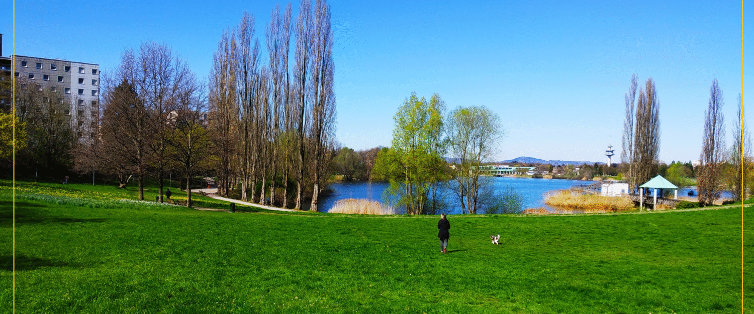 Mind-Bending Adventures